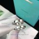 AAA Replica Tiffany 925 Silver Engagement Ring (2)_th.jpg